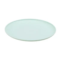 Mainstays Light Green Plastic Plate, 10.5 inch 1pc