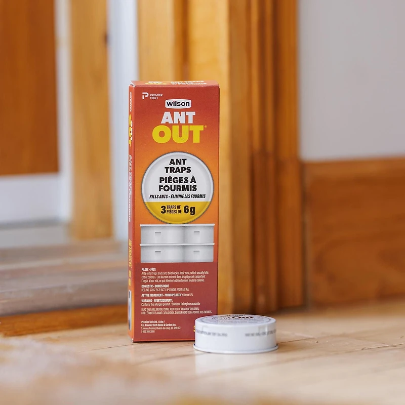 Appât pour fourmis AntOut®
