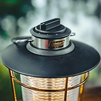 Lanterne à DEL 200 lumens Coleman 1900 Collection