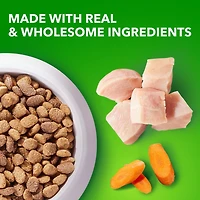 Iams Minichunks Adult Dry Dog Food Chicken & Whole Grains Recipe, 1.5-17.46kg