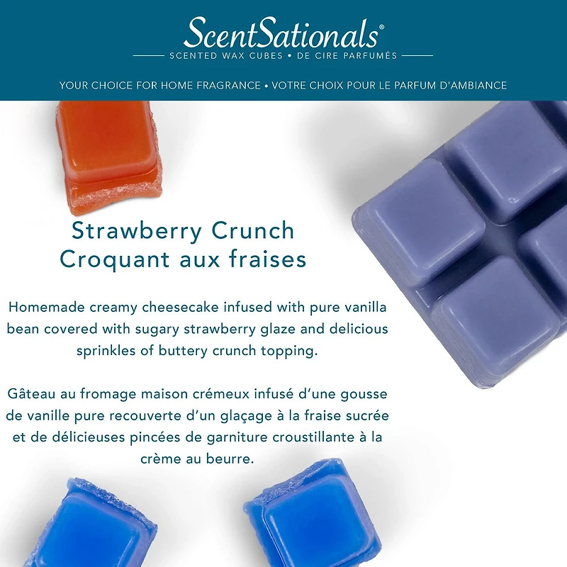Cubes de cire parfumée ScentSationals - Croquant aux fraises