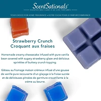 Cubes de cire parfumée ScentSationals - Croquant aux fraises