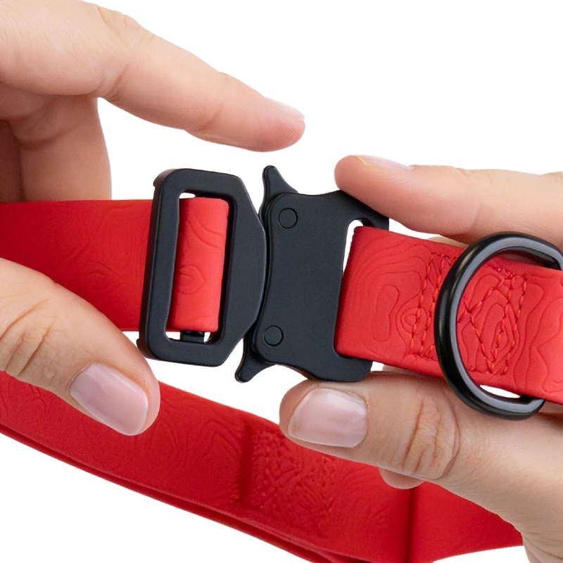 One Paw, Silicone Dog Collar with Metal Buckle, Water Repellent, Multiple Sizes