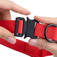 One Paw, Silicone Dog Collar with Metal Buckle, Water Repellent, Multiple Sizes