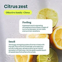 ATTITUDE nature+ technology, Window & Mirror Cleaner, Citrus zest, 800 mL