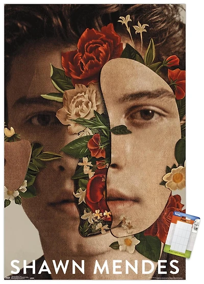 SHAWN MENDES17452 - FRENCH