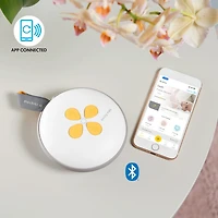 Ensemble de luxe Swing Maxi Exprimer à votre façon de Medela | Collecteurs portables dans le soutien-gorge, faciles à nettoyer | Téterelles PersonalFit Flex