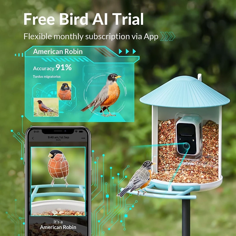 Birdfy Smart Bird Feeder with Camera, Bird Watching Camera for Bird Feeding, Gift for Bird Lover, Blue