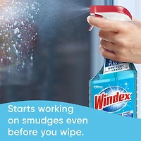 Windex® Glass Cleaner Refill, Original, 5L, Refill