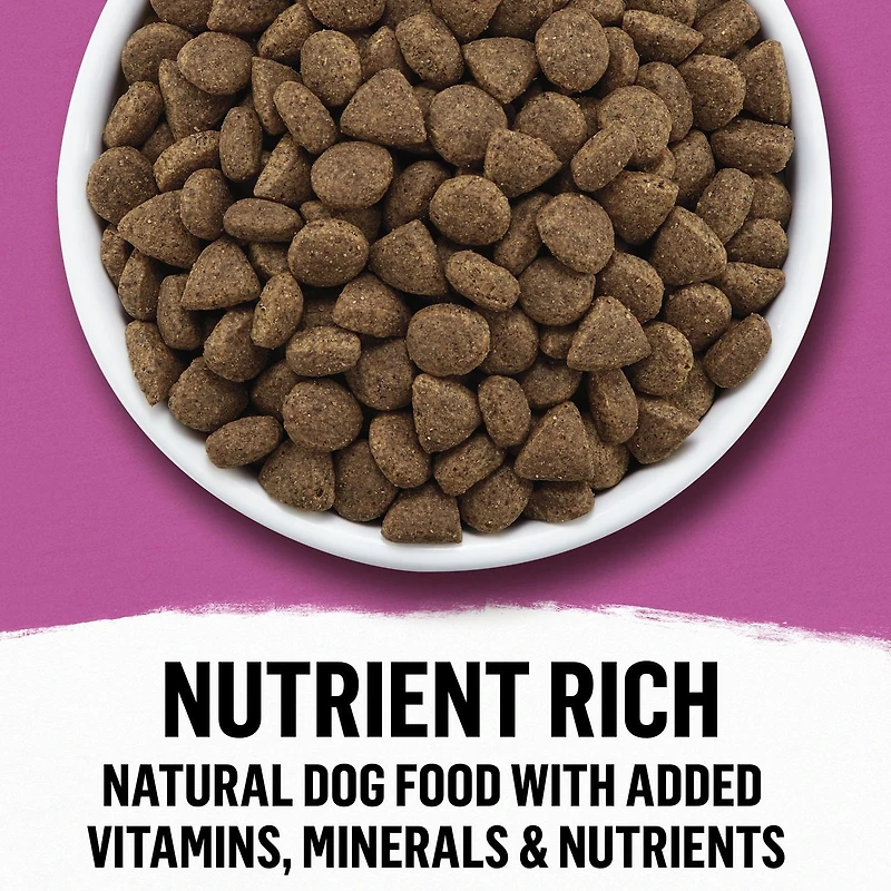 Beyond Simply Farm-Raised Beef, Barley & Free Run Egg Recipe, Dry Dog Food, 1.67-5 kg