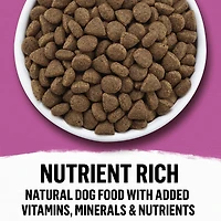 Beyond Simply Farm-Raised Beef, Barley & Free Run Egg Recipe, Dry Dog Food, 1.67-5 kg