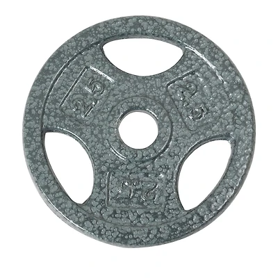 GoZone Grip Weight Plate – Silver