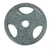 GoZone Grip Weight Plate – Silver