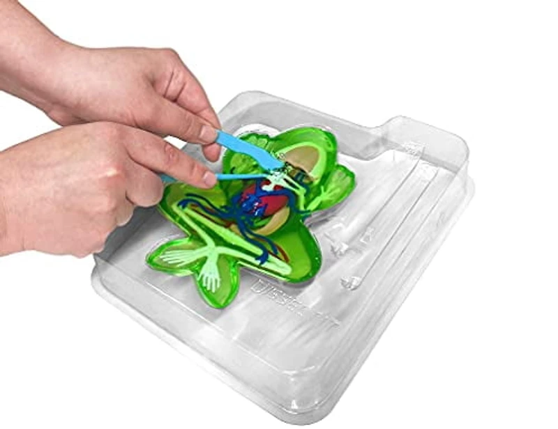 Dissect-It Simulated Synthetic Lab Dissection STEM Toy, Kids' Home Learning Science Project, Great for Young Scientists! - Frog Plus