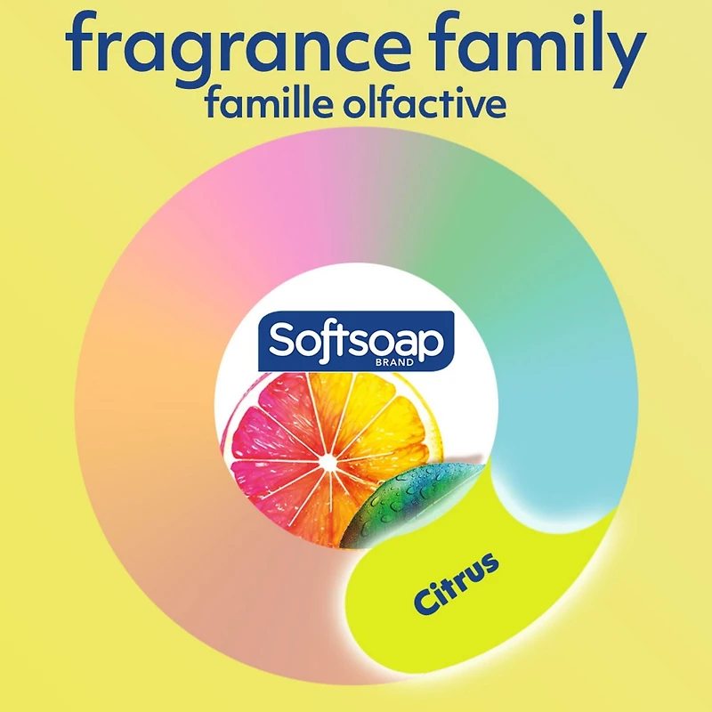 Softsoap Moisturizing Body Wash, Citrus Splash and Berries, 591 mL, 591 mL