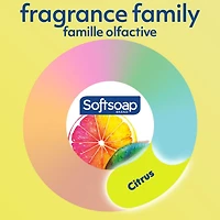 Softsoap Moisturizing Body Wash, Citrus Splash and Berries, 591 mL, 591 mL