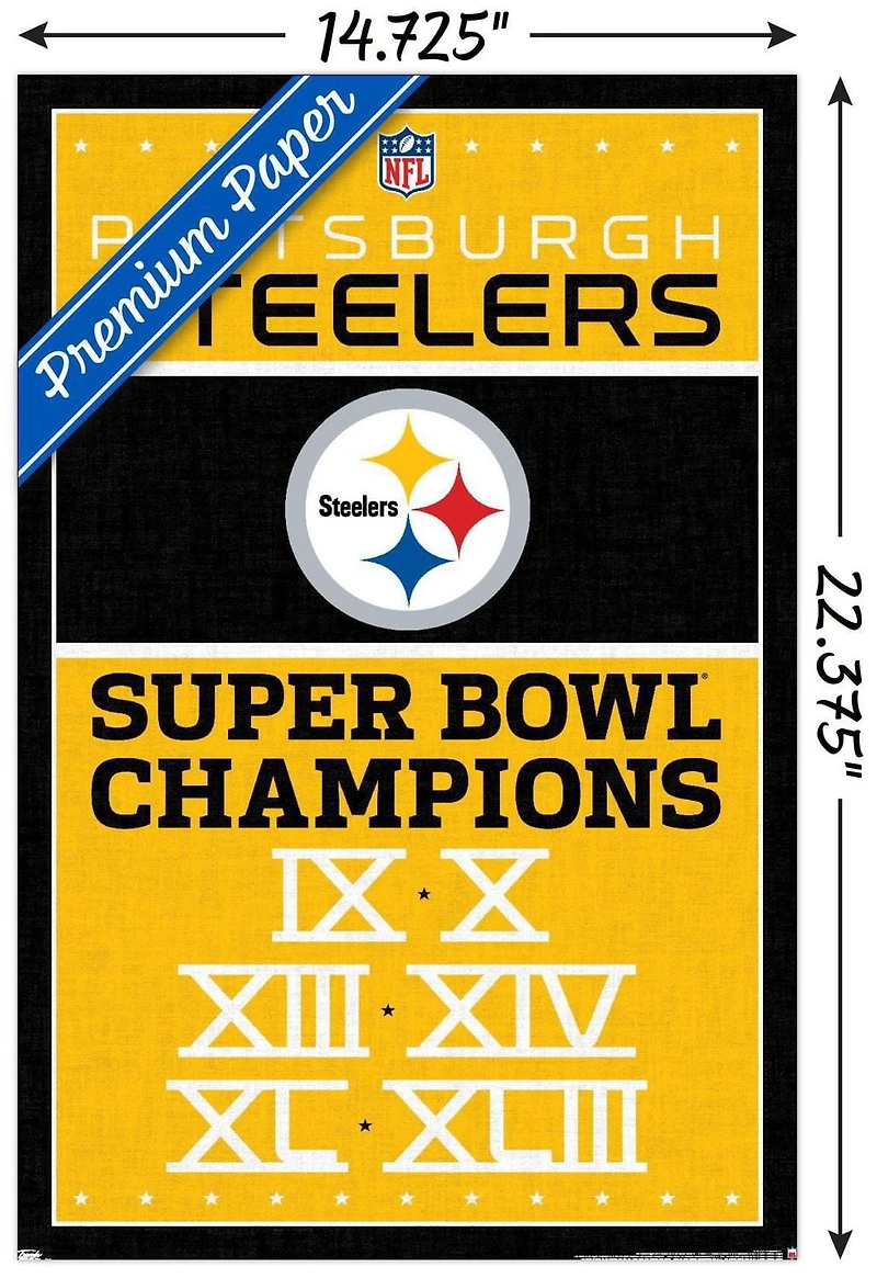 NFL Pittsburgh Steelers - Champions 13 Wall Poster