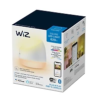 WiZ Lampe LED intelligente Squire équivalente à 60 watts, polychrome et blanc réglable, 2 200 K-6 500 K