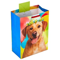 Méga sac-cadeau de 20 po – Hallmark  pour les fêtes, les remises des diplômes, les départs à la retraite et plus encore