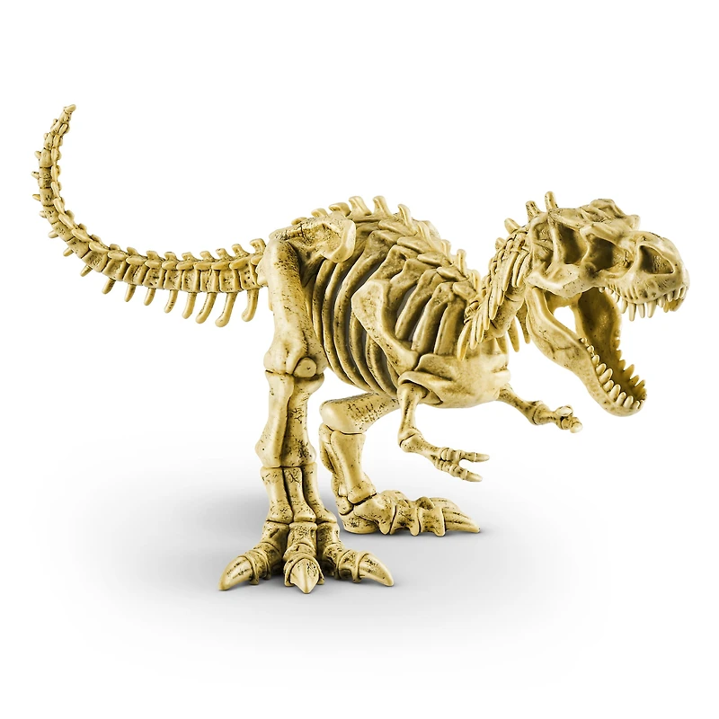 Robo Alive Mega-Dino Fossil Find by ZURU Boys 4-8 Dig and Discover - T-rex and Brontosaurs - STEM -Excavate Prehistoric Fossils, Educational Toys, Great Science Kit Gift for Girls and Boys