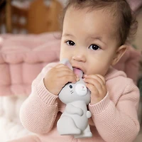 Ingenuity Sylvi™ NATURAL RUBBER Teether, 0 - 36 months