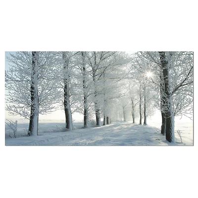 Designart Arbres d'hiver rétro-éclairé par le soleil du matin Art mural sur toile