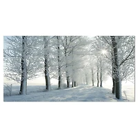 Designart Arbres d'hiver rétro-éclairé par le soleil du matin Art mural sur toile