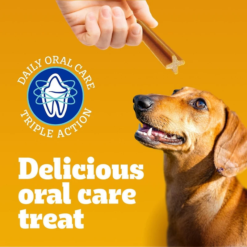 Gâteries de soins buccodentaires PEDIGREE DENTASTIX saveur de bœuf pour chiens adultes de petite race – réduisent l’accumulation de plaque et de tartre, 35 bâtonnets 35 Gâteries