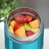 Thermos Vacuum Insulated FUNtainer Food Jar, 295 ml, Teal