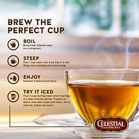 Celestial Seasonings pomme-cannelle épices tisane sans caféine, 20 sachets