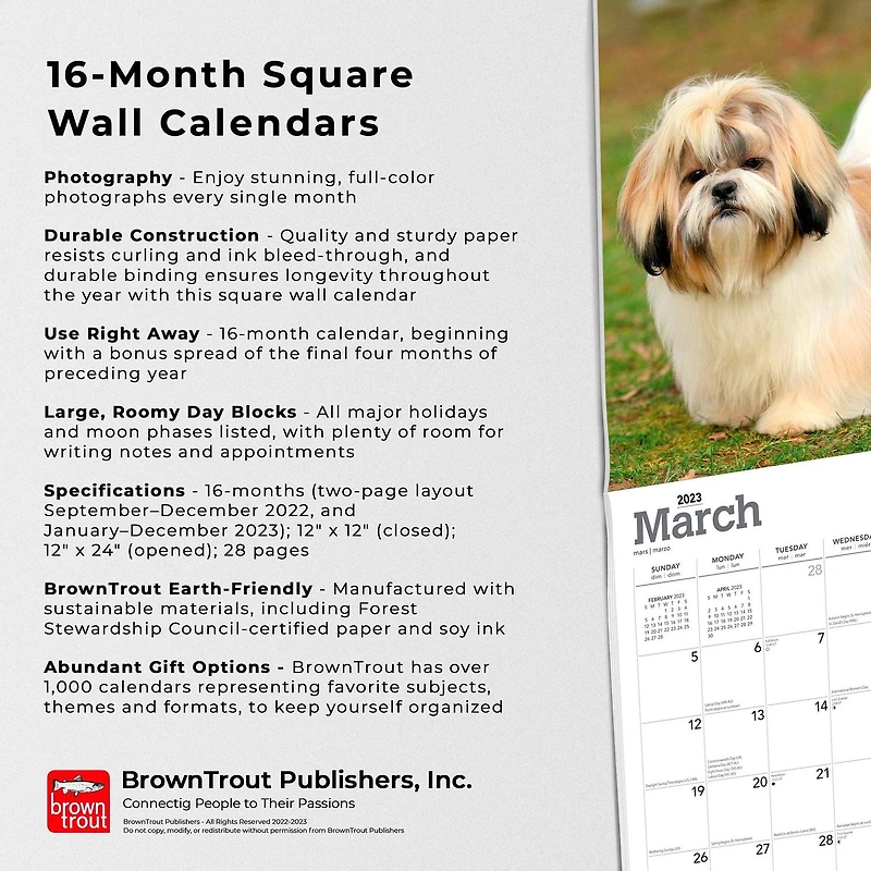 Shih Tzu | 2023 12x24 Inch Square Wall Calendar
