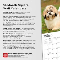 Shih Tzu | 2023 12x24 Inch Square Wall Calendar
