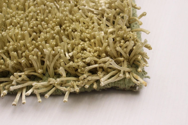 ECARPETGALLERY Metro Plush Light Green Shag 5'0" x 8'0"