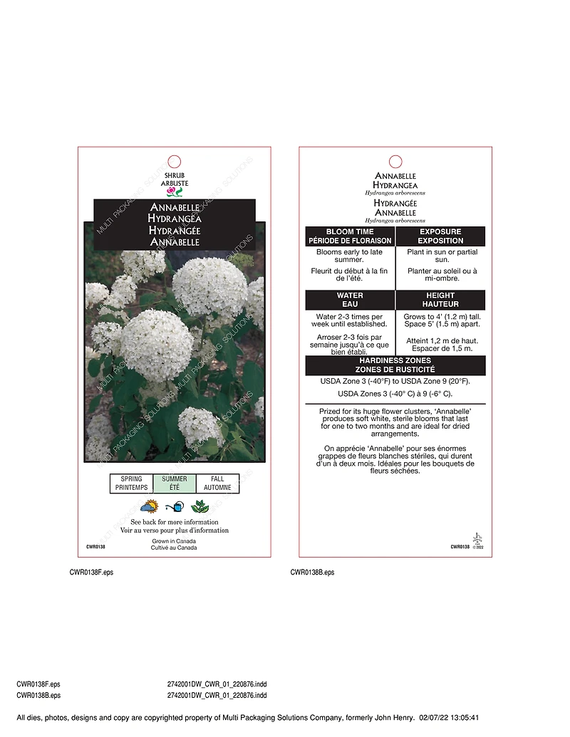 2 Gallon Hortensia arbustif Annabelle