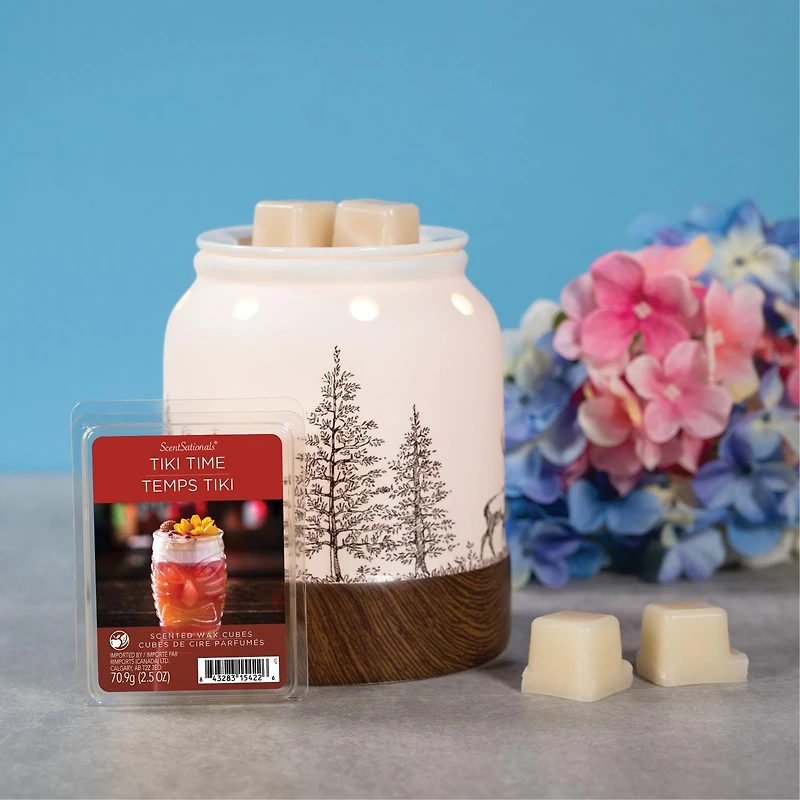 ScentSationals, Scented Wax Cubes - Tiki Time, 2.5 oz (70.9 g)