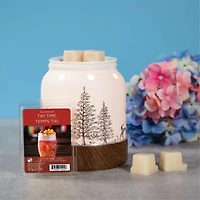 ScentSationals, Scented Wax Cubes - Tiki Time, 2.5 oz (70.9 g)