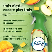 Assainisseur d’air en vaporisateur Febreze Air, éliminateur d’odeurs dans les pièces de la maison, Mangue, 1 unités
