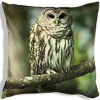 Homeport Dexter the Owl Throw Cushion