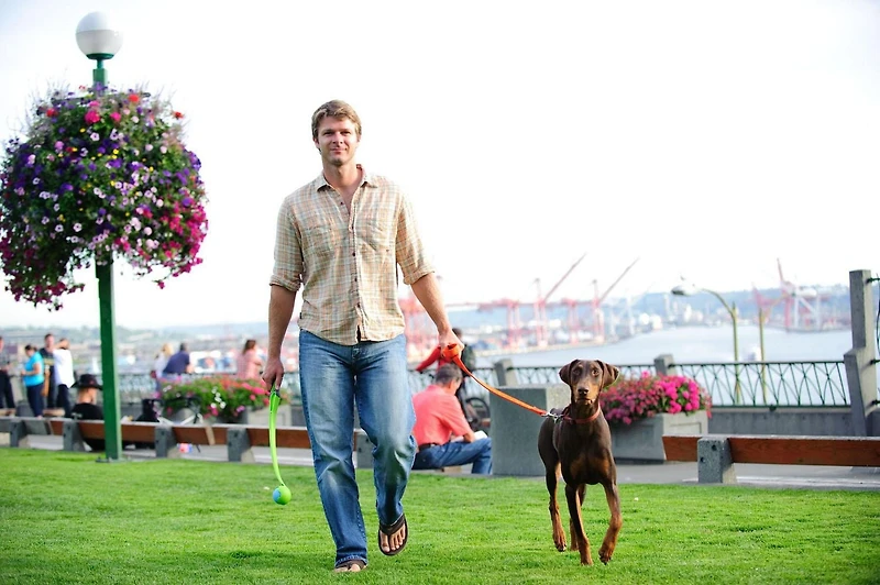 Petit lance-balle de Chuckit! 12M (jouet pour chien moyenne)