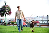 Petit lance-balle de Chuckit! 12M (jouet pour chien moyenne)