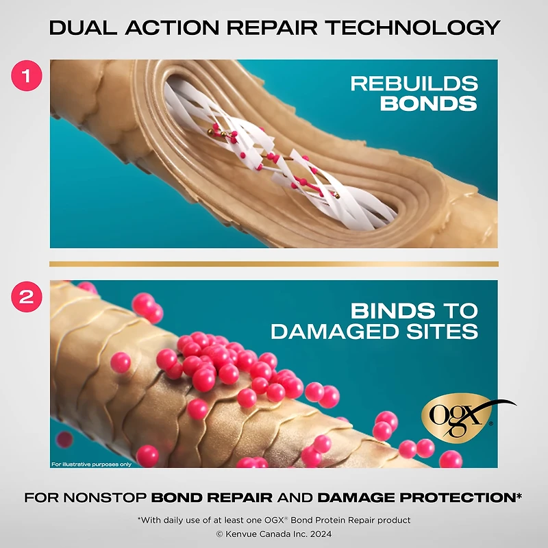 OGX Repair & Protect Bond Protein Repair Conditioner, Lightweight Conditioner Targets Damaged Areas of Hair for Effective Bond Repair, Sulfate-Free Surfactants, 385 mL
