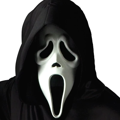 Adult  Ghost Face Plastic Mask Halloween Costume Accessory