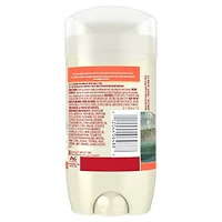 Désodorisant Old Spice pour hommes, Lost Cove, parfum de mangue et brise tropicale, fraîcheur durable 24/7, sans aluminium, 85 g