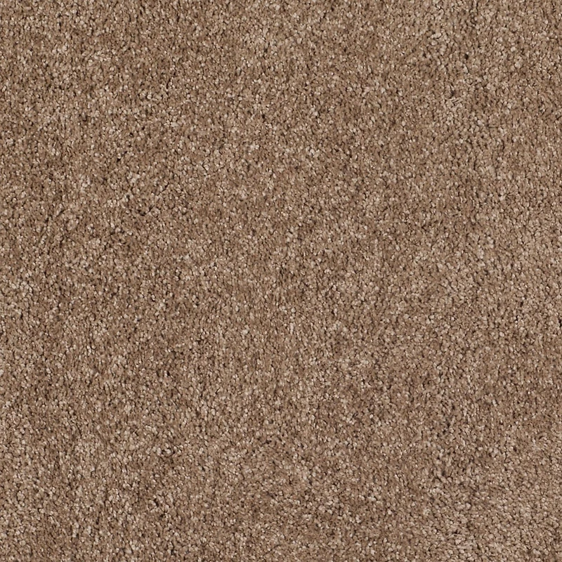 Safavieh Milan Harlow Tapis Peluche Solide Shag