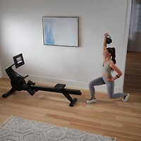 NORDICTRACK RW300