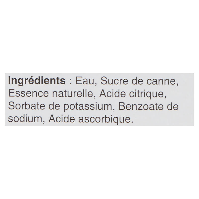 The Great Gentleman Soda Piquant au Gingembre 6x250ml