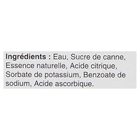 The Great Gentleman Soda Piquant au Gingembre 6x250ml