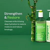 Renpure Bamboo & Quinoa Shampoo, Plant-Based –  Restores, Hydrates & Strengthens For Healthier Hair – For Weak, Dull & Damaged Hair– 24 Fl Oz