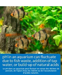 API Freshwater Deluxe pH test Kit