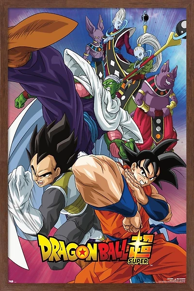 Dragon Ball: Super - Group Wall Poster